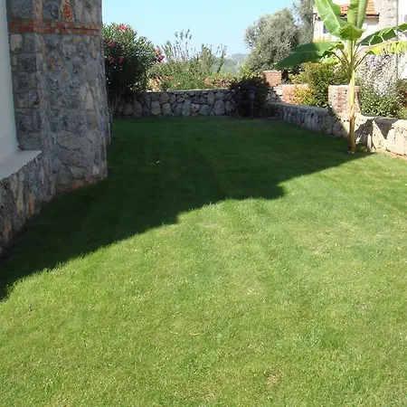 فيلة Xanthos 15 *
